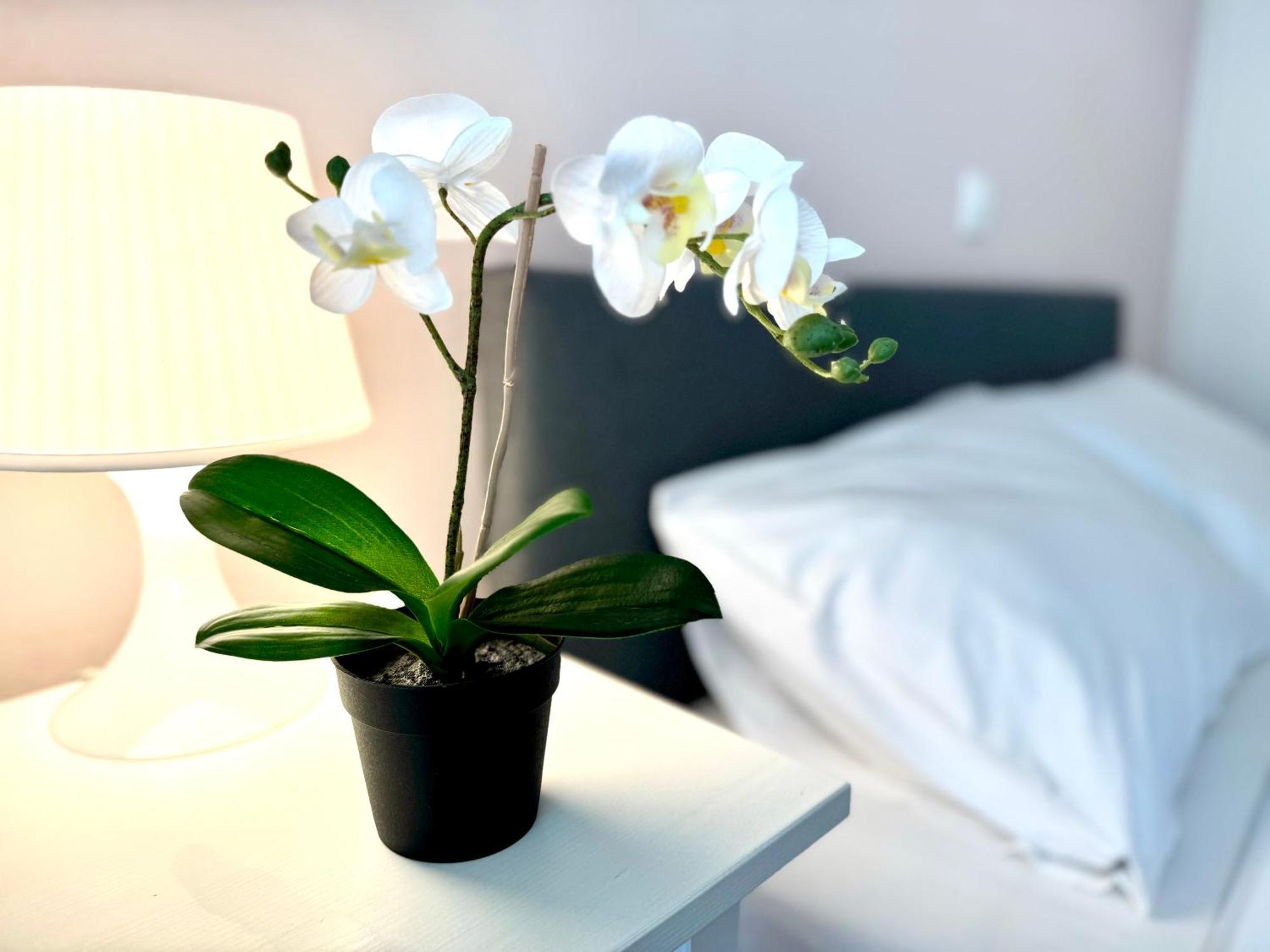 Sun Beach Apartment Anavyssos Esterno foto